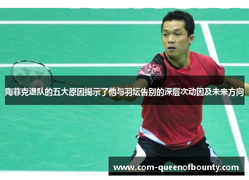 陶菲克退队的五大原因揭示了他与羽坛告别的深层次动因及未来方向