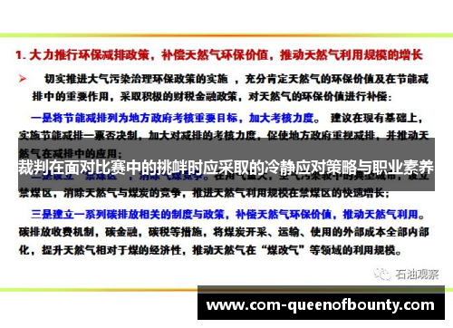 裁判在面对比赛中的挑衅时应采取的冷静应对策略与职业素养