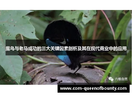 魔鸟与老马成功的三大关键因素剖析及其在现代商业中的应用
